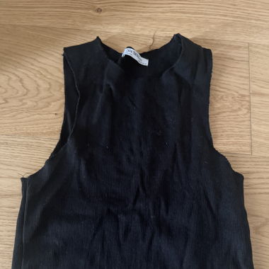 Zara Trafaluc Cropped Top 