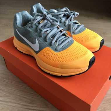 Chaussures de sport Nike Air Pegasus 30