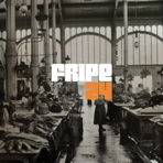 fripe24