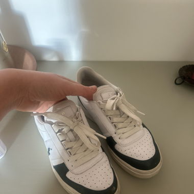 Polo Ralph Laurent Sneakers