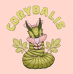 Corydalis