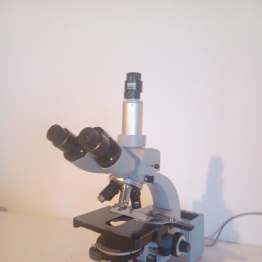 Zeiss Mikroskop 