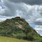 Kachana