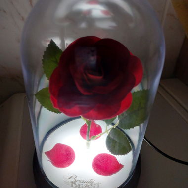 Eternal Rose Under Glass Bell
