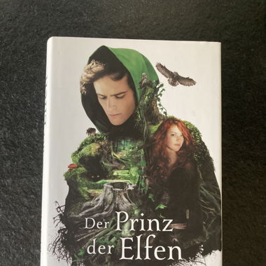 Fantasy, Der Prinz der Elfen, Holly Black