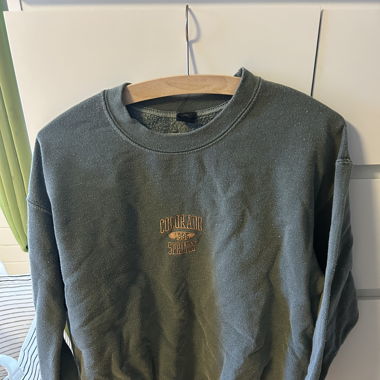 Grüner Pulli