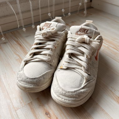 Nike Dunk Low Disrupt Sneakers