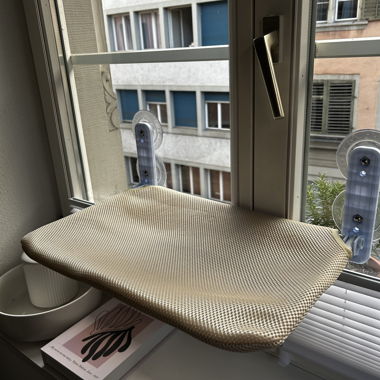 Fenster-Bett Katze