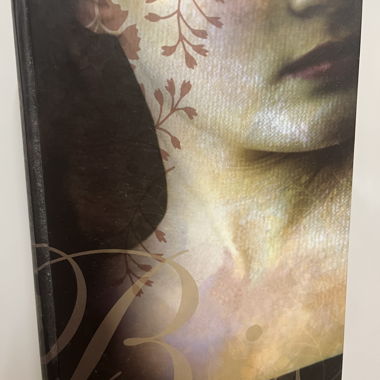 Libro Twilight