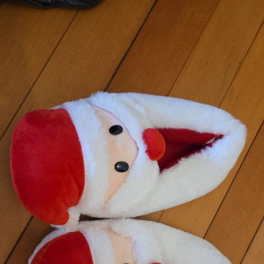 Santa finken