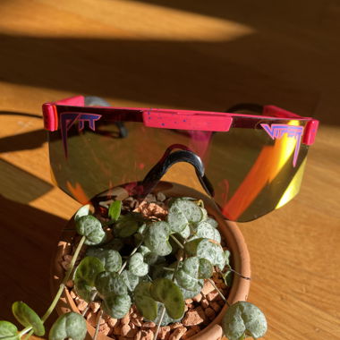 Pit Viper sunglasses