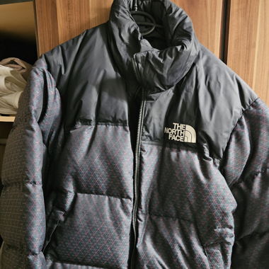 Winterjacke The north face