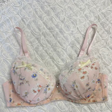 Floral Pink Chiffon Bra (New-70B/C)