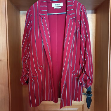 Roter Blazer