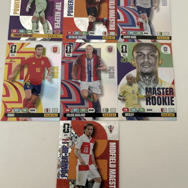 Set di Carte da Calcio Panini