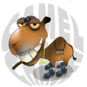 Camel_Chase