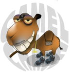 Camel_Chase