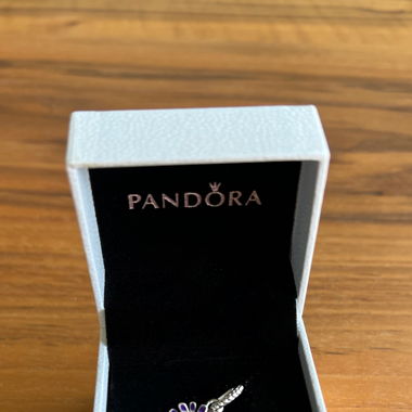 Charm Pandora