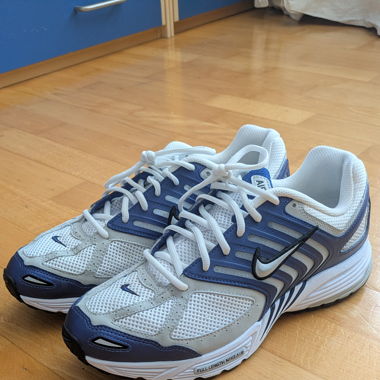Nike Pegasus 2005 taille 45