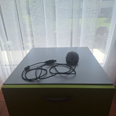 Trust Gaming Mouse