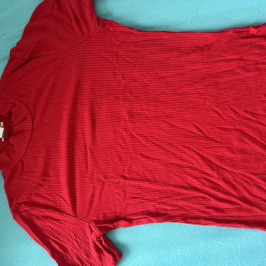 Red Pleated Turtleneck Top