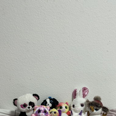 Beanie Boos Kuscheltiere
