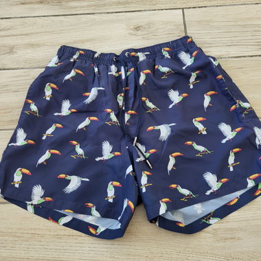 Zara Swim Shorts