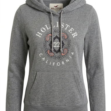 Felpa con cappuccio Hollister grigia