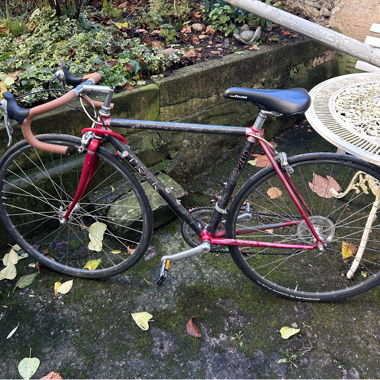 TREK Composite Rennvelo