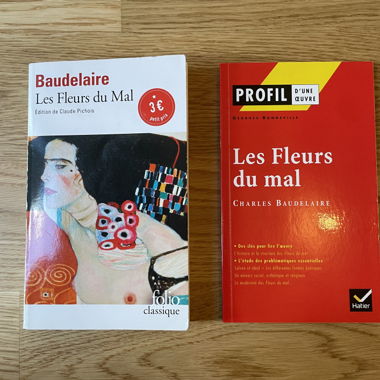 Livre « Les Fleurs du Mal » avec son analyse