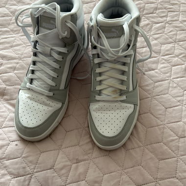 Basket puma