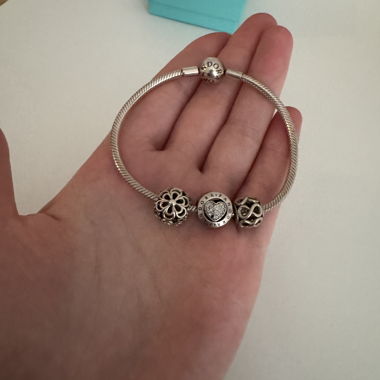 Pandora Charm Bracelet