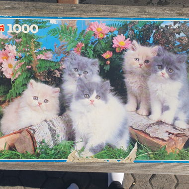 Puzzle Gatti 1000 pezzi