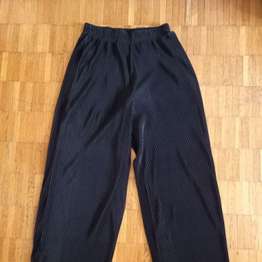 Pleated flowy pants