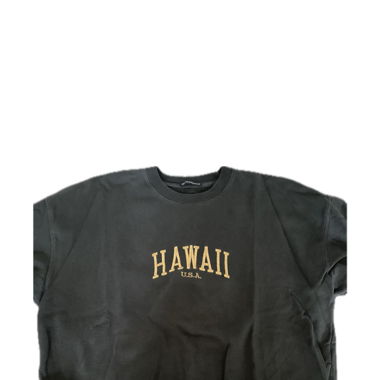 brandy melville „hawaii“ sweatshirt
