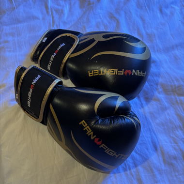 Gants de boxe Pan Fighter