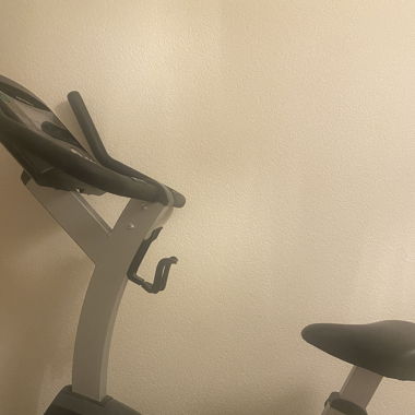 Life Cycle Indoor Bike