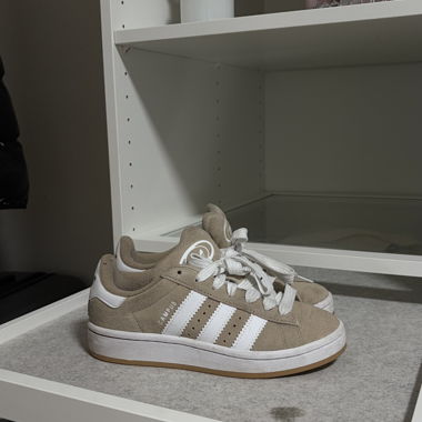 Campus Beige