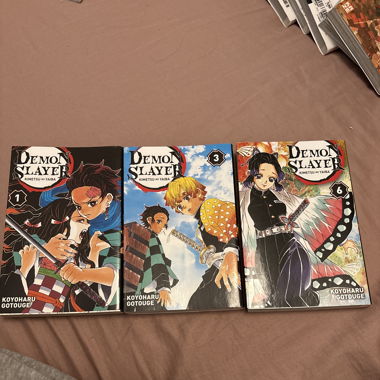 Demon slayer manga‘s french version