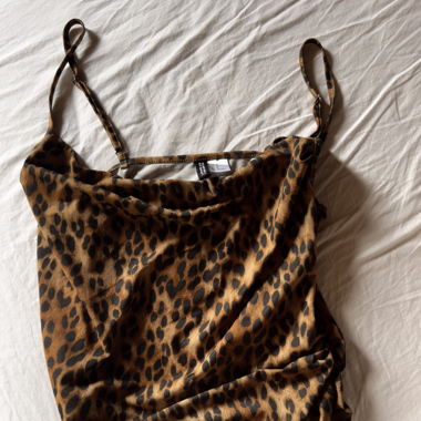 leo top