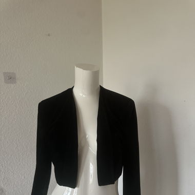 Vintage velvet cropped blazer 