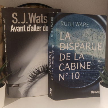Lot de 2 livres thrillers psychologique 