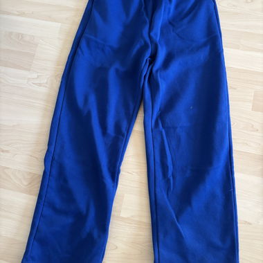 Blue Jogging Pants