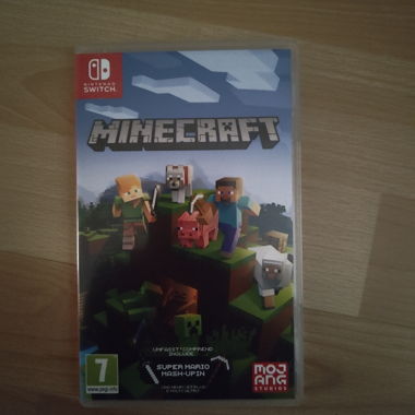 Minecraft