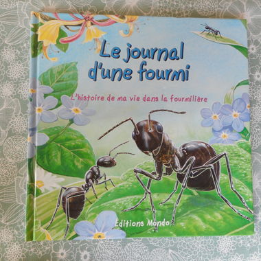 The Diary of an Ant