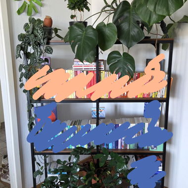 2 Bücherregale und 2 Ikea Fjällbo-Regalböden