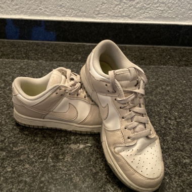 Nike Dunk Low Sneaker