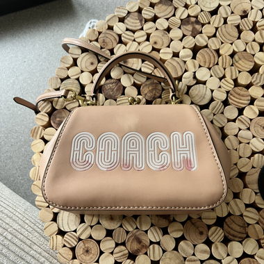 Borsa Coach