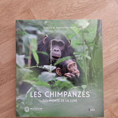 Les Chimpanzés du Mont de la Lune - documentaire