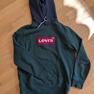 Levi's green and blue hoodie